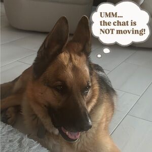 Chat Is Not Moving! What Are Y’all Looking At?